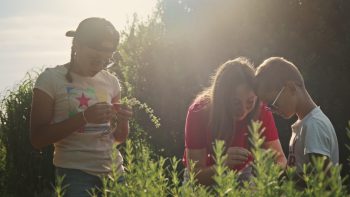 Image 2025-10-10 114907_1.20.2